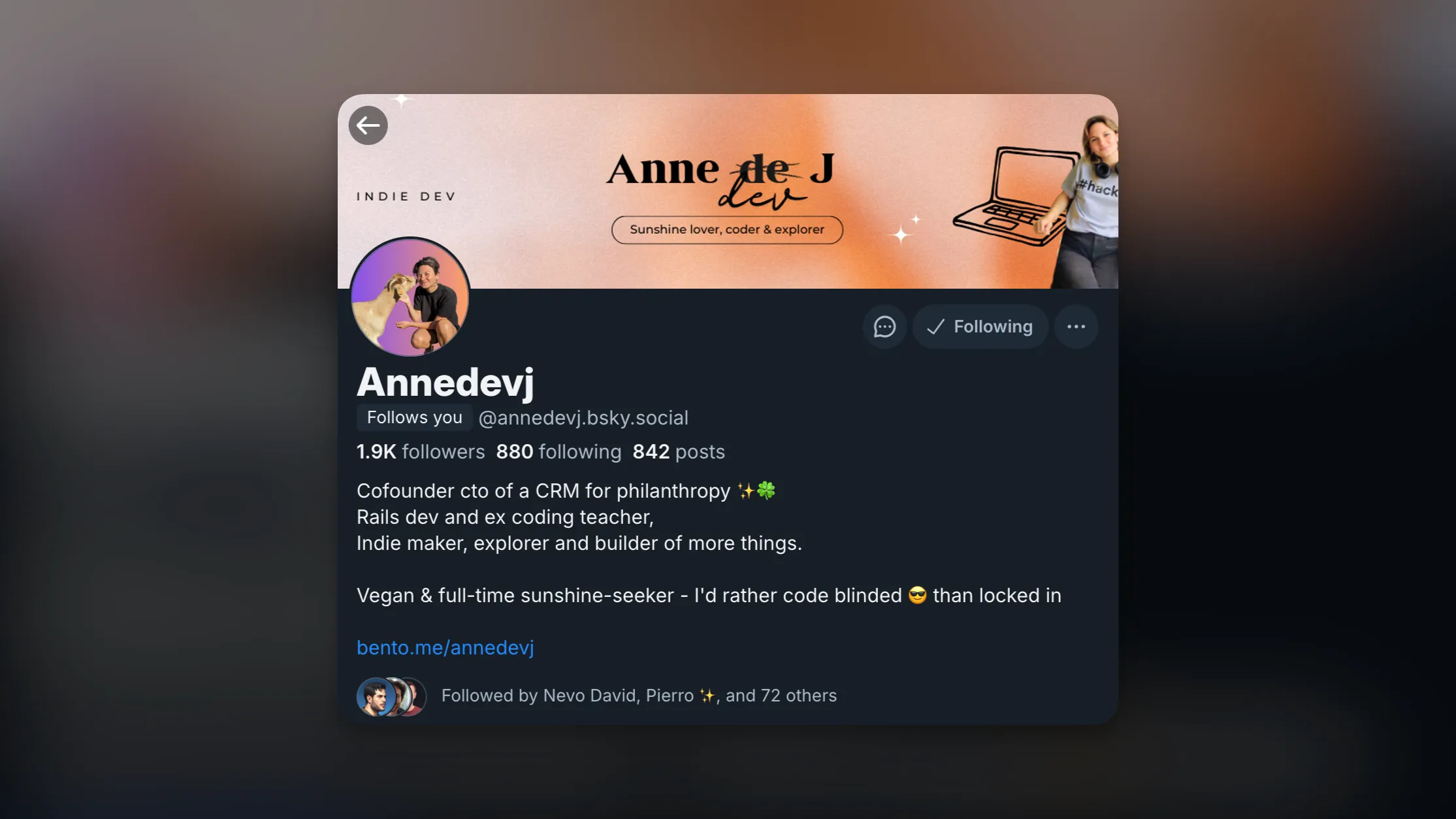 Annedevj's Bluesky profile, showing a professional bio