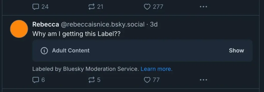 Bluesky Accidentally Labeled a Selfie as Adult Content