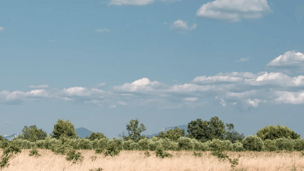 Essential Tips for Designing the Perfect Bluesky Banner