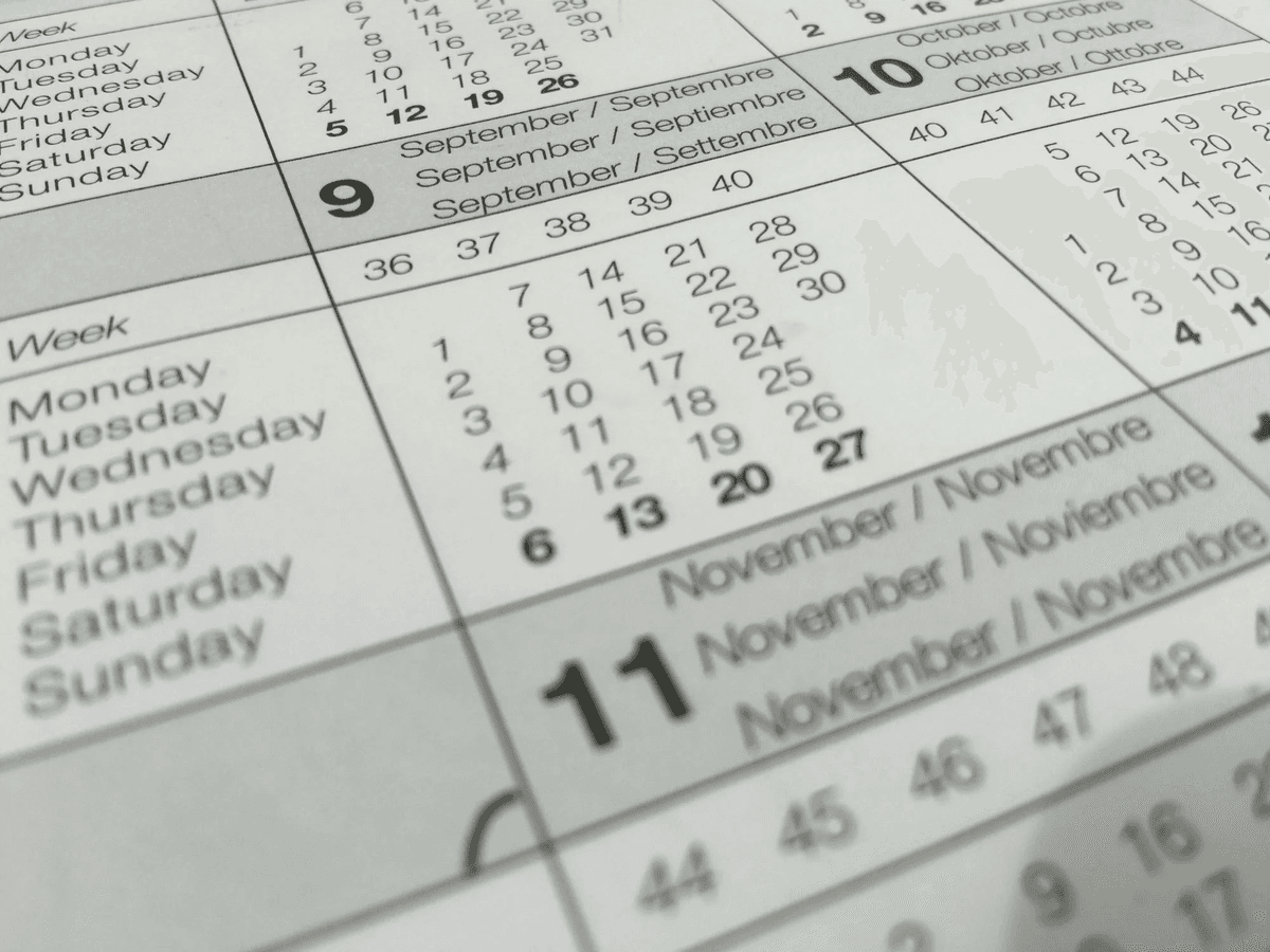 How to Schedule Posts on Bluesky Effectively