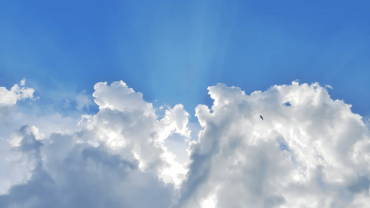 Top Bluesky Accounts to Follow for Inspiration in 2025