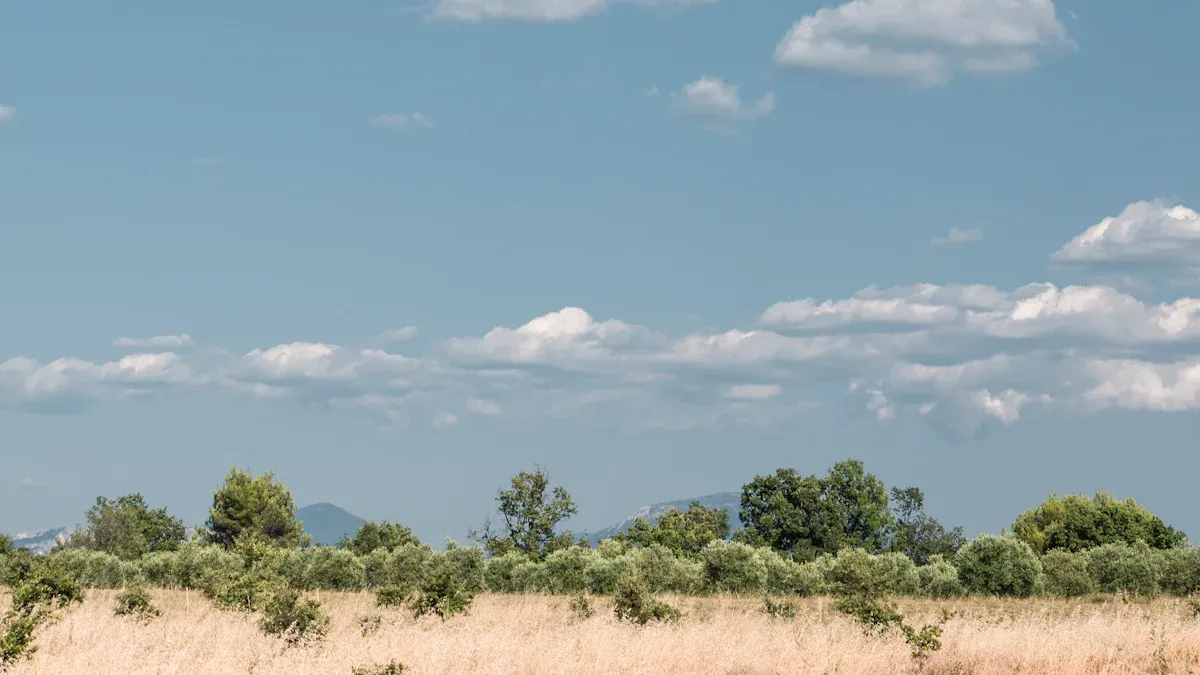 Essential Tips for Designing the Perfect Bluesky Banner